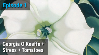 Georgia O'Keeffe + Stress + Tomatoes