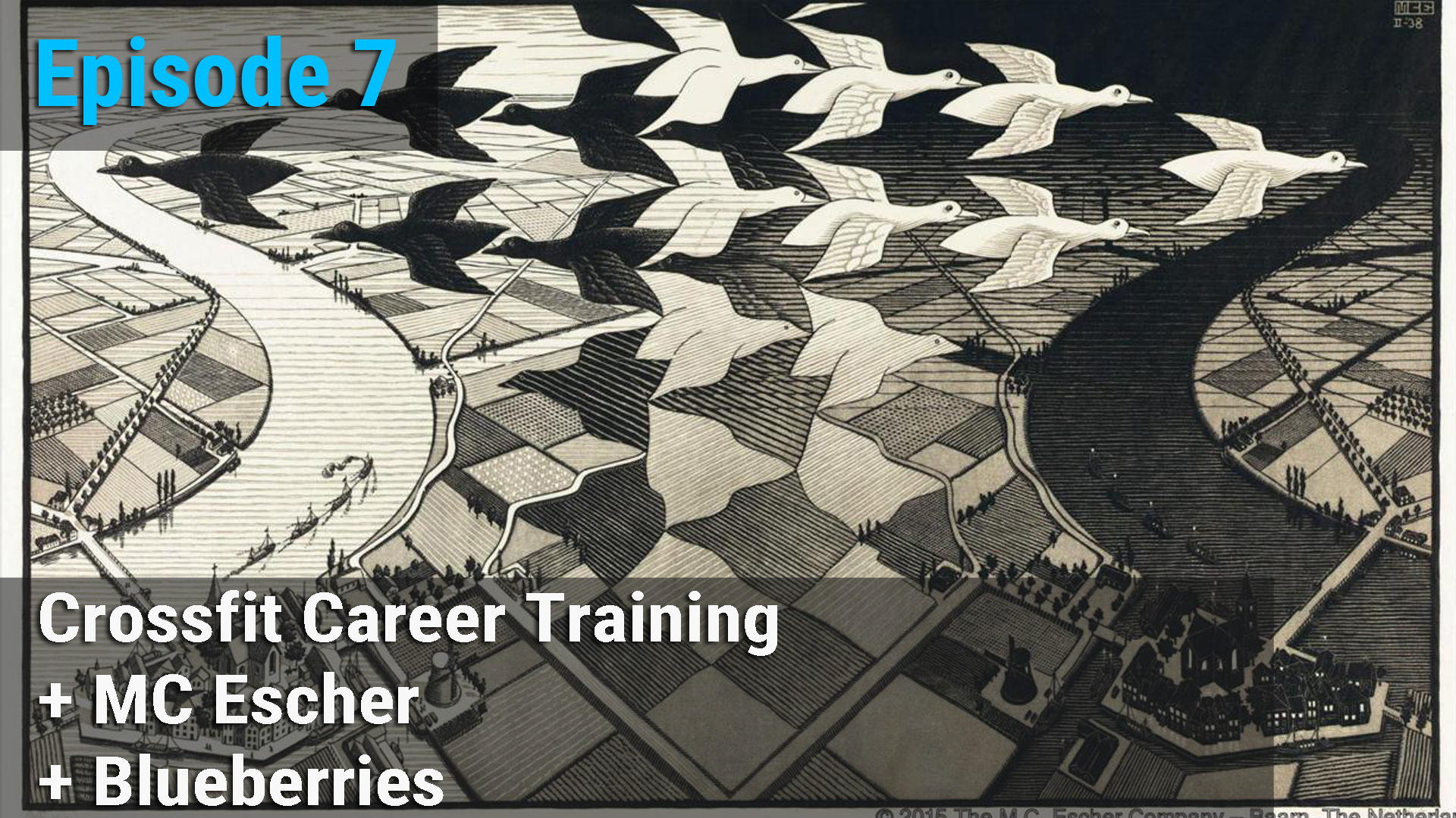 Crossfit Career Training + MC Escher + Blueberries