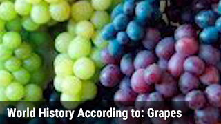World History According to: Grapes