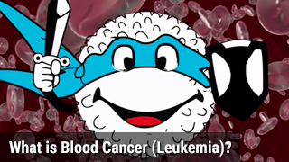 What is Blood Cancer (Leukemia)?